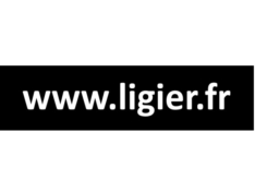 PEGATINA O ADHESIVO DE PARAGOLPES www.ligier.fr